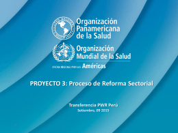 PROYECTO 3 Proceso de Reforma Sectorial (G. Vargas).