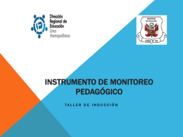 (*) Instrumento de Monitoreo Pedagógico (II parte)