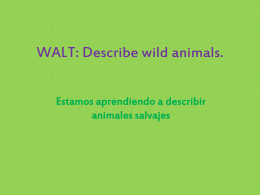 WALT: Describe wild animals.