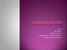Carbonatación - Andrea González