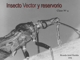 Clase 4 Insecto verctor y su reservorio ()