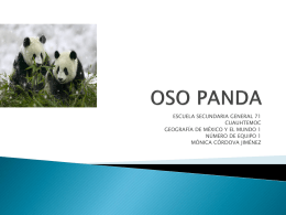 caracteristicas del oso panda
