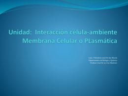 Interacción célula-ambiente Membrana Celular o