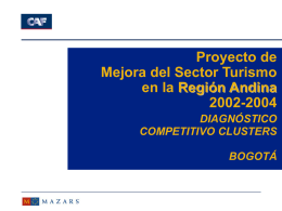 Diagnostico_competitivo_cluster_Bogota