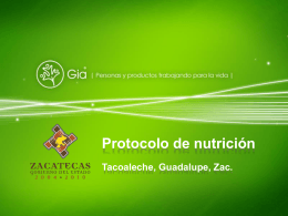 Descargue Protocolo Zacatecas 2004