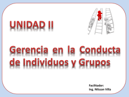 1. Conducta Individual - Ing. Nilsson José Villa Martínez