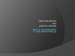 Pulmones - Anatomía y Fisiología Humana