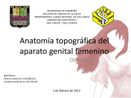 Anatomía topográfica del aparato genital femenino