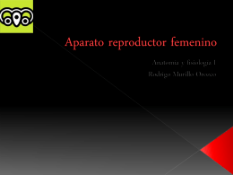 Aparato reproductor femenino - Anatomía y Fisiología Humana
