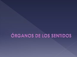 Tema 18 Organos de los sentidos