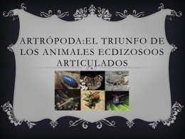 Arthropoda:El triunfo de los animales ecdizosoos articulados