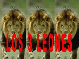 tres leones - yasminavelasquez