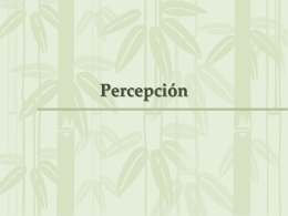 Percepcion (sternberg 3)