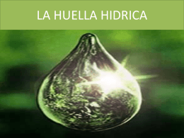 LA HUELLA HIDRICA