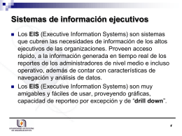 Características de los Sistemas de información ejecutivos (EIS)