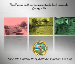 Plan Parcial de Reordenamiento de Lomas del Marion y Zaragocilla