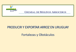 PRODUCIR Y EXPORTAR ARROZ EN URUGUAY