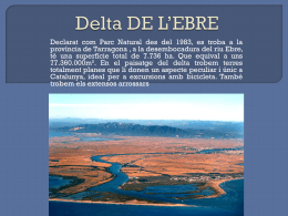 Delta DE L`EBRE lahcen