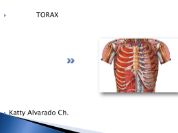 TORAX - Fisioterapia