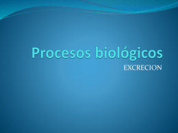 Equipo6,Nutrición,procesos biológicos(excreción),sep11