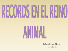 Records en el Reino Animal - Intranet IES Fuente de San Luis