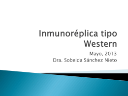 Inmunoréplica tipo Western