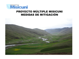 PROYECTO MÚLTIPLE MISICUNI
