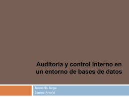 Auditoría y control interno en un entorno de bases