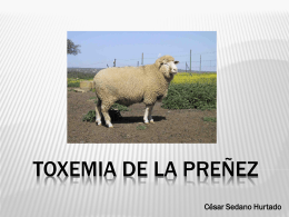 TOXEMIA DE LA PREÑEZ