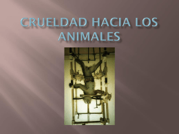 CRUELDAD HACIA LOS ANIMALES