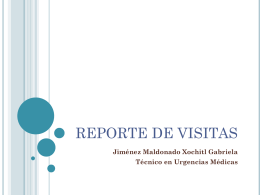 REPORTE DE VISITAS (389260)