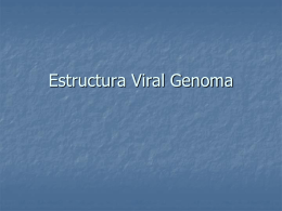 Estructura Viral Genoma