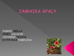 JAMAIKA APALY