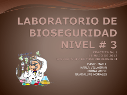 LABORATORIO DE BIOSEGURIDAD NIVEL # 3 PRACTICA No 1 11