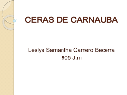 CERAS DE CARNAUBA