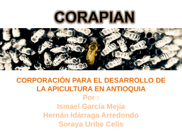 CORAPIAN - Corporación para el Desarrollo de la Apicultura en