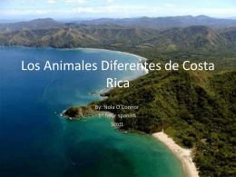 Different Animals of Costa Rica - Nola O`Connor