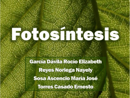 Fotosíntesis - FotosintesisTicCiencia