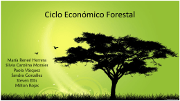 Ciclo Económico Forestal
