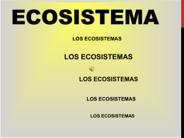 ecosistema 6 - WordPress.com