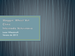 Waggin* Wheel Vet Clinic Internado Veterinario