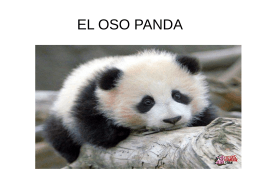 EL OSO PANDA - CEIP La Zafra