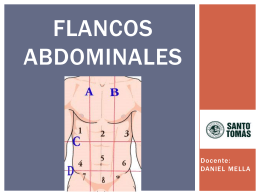Flancos abdominales.