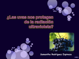 ¿Las uvas nos protegen de la radiación ultravioleta?