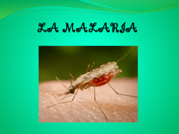 LA MALARIA - CMCFJBURGOS