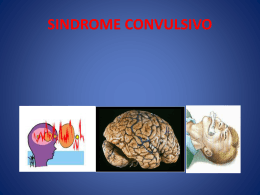 5. sindrome convulsivo