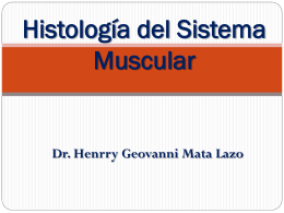 Histología del Sistema Muscular