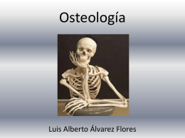 Osteología - Anatomía y Fisiología Humana