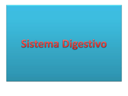 Digestivo - WordPress.com