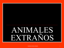 ANIMALES EXTRAÑOS